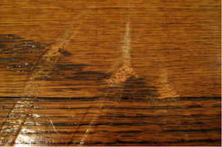 Illustration for article titled Refinish Your Hardwood Floors In 5 Steps